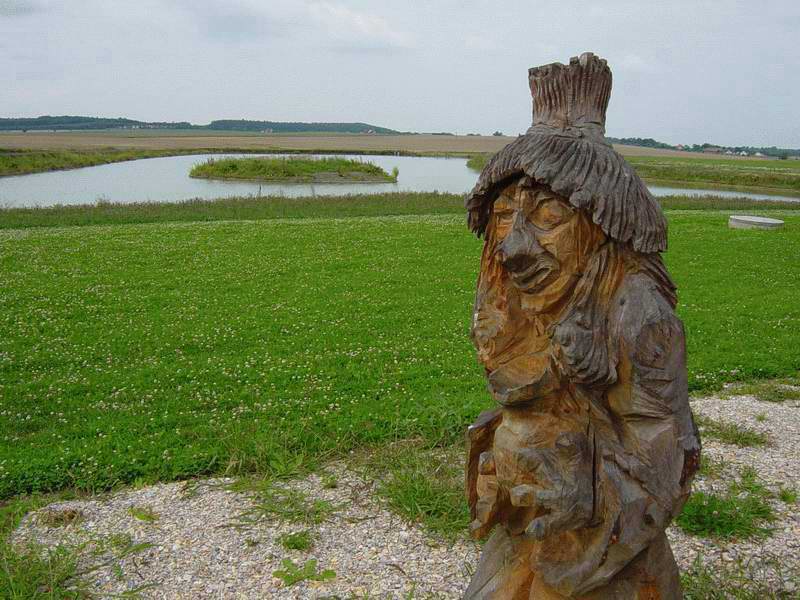 Rybník na Borku
